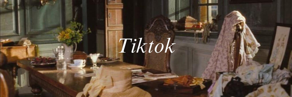 Let's Connect on TikTok!